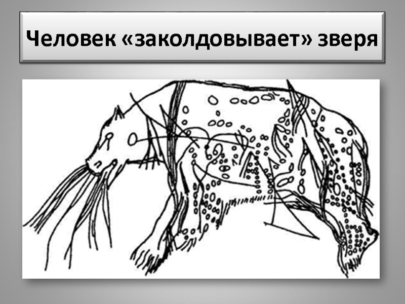 Человек «заколдовывает» зверя